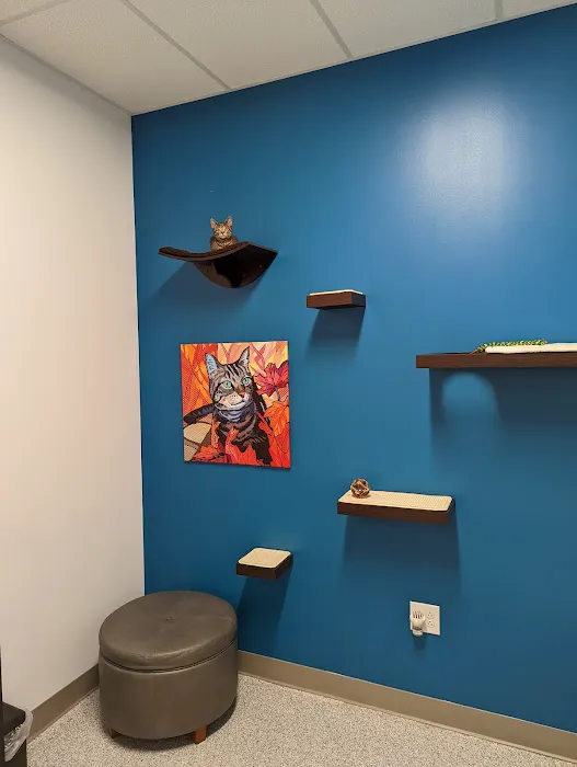 PetVet365 Pet Hospital Cincinnati/Newport 12