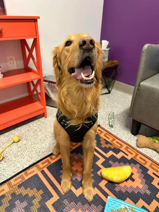 PetVet365 Pet Hospital Cincinnati/Newport 12