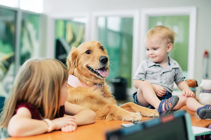 PetVet365 Pet Hospital Cincinnati/Newport 12
