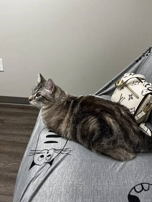 Veterinary Medical Center of Fort Thomas 12