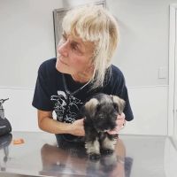 Breed All About It. LLC ico