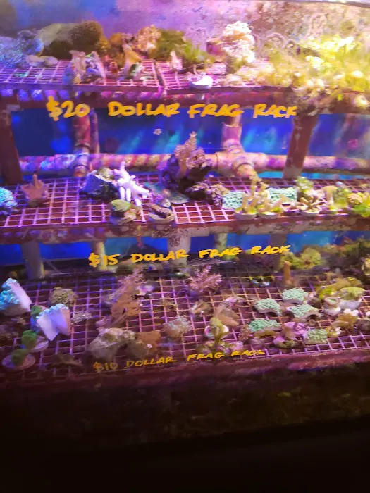 Carson Tropical Fish 5