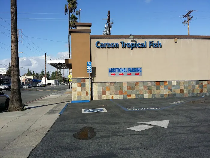 Carson Tropical Fish 7