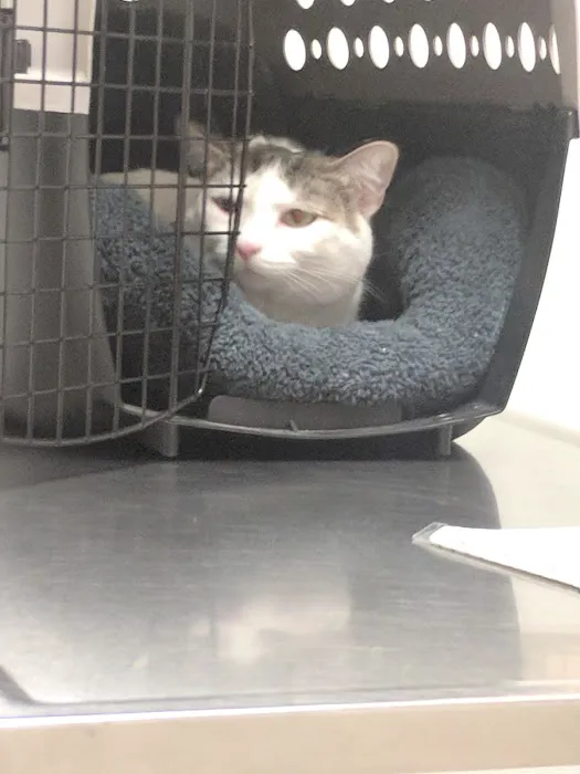 Anderson Hills Animal Care Hospital 12