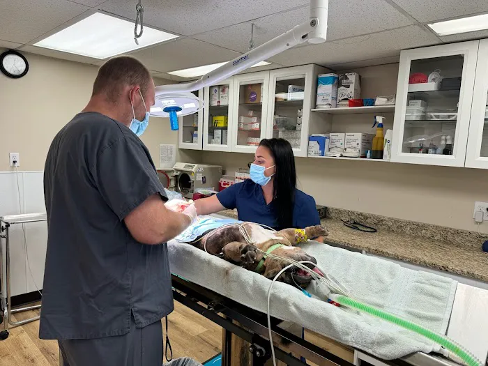 Cincinnati Veterinary Surgical & Wellness Center 12
