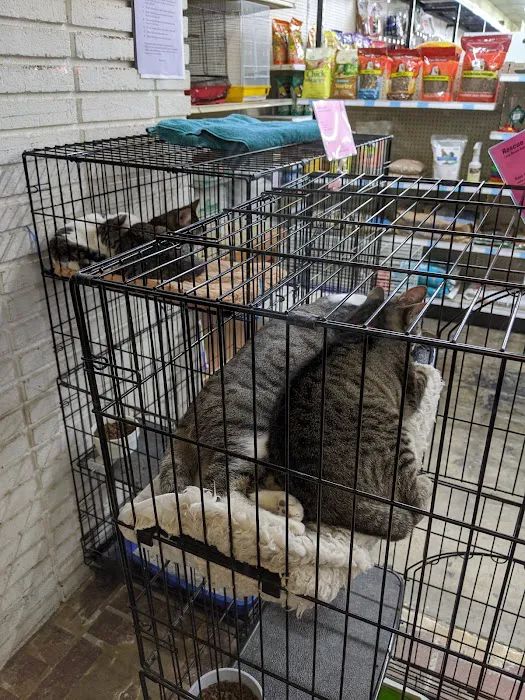 Paw Shoppe Pet Center 5