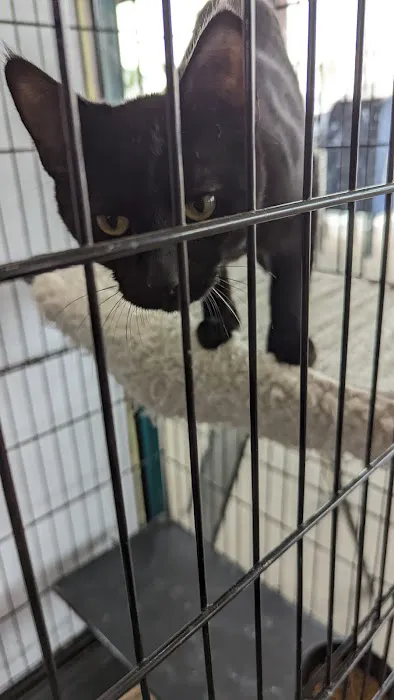 Paw Shoppe Pet Center 2