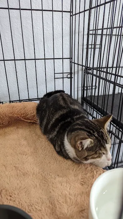 Paw Shoppe Pet Center 6