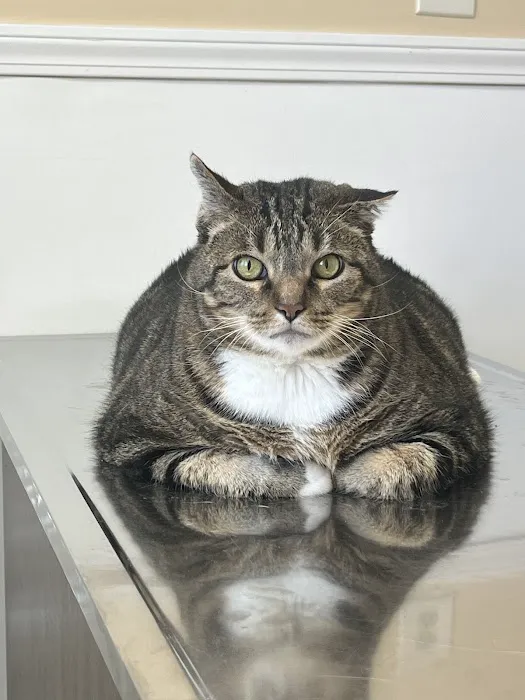 Cherry Grove Animal Hospital 12