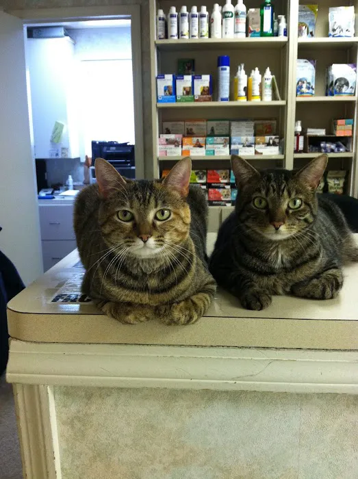 Cherry Grove Animal Hospital 12