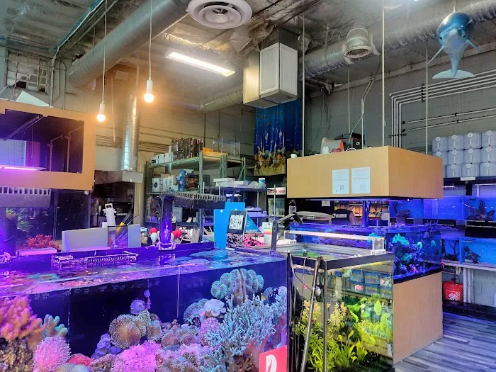 Age of Aquariums 2
