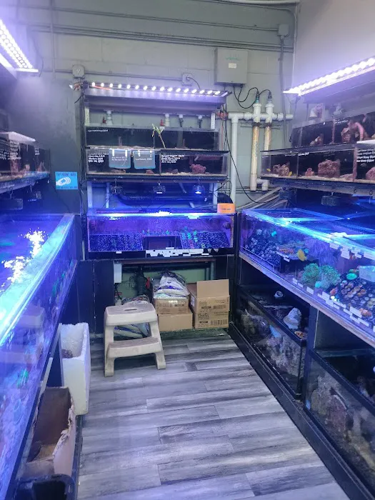 Age of Aquariums 1