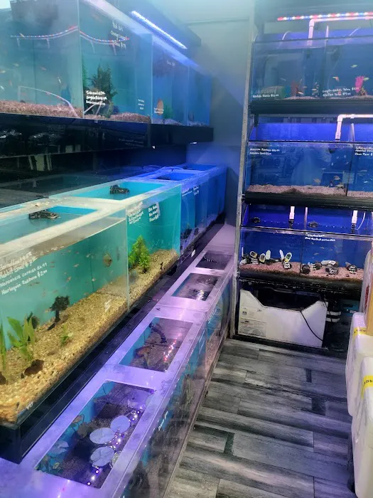 Age of Aquariums 3
