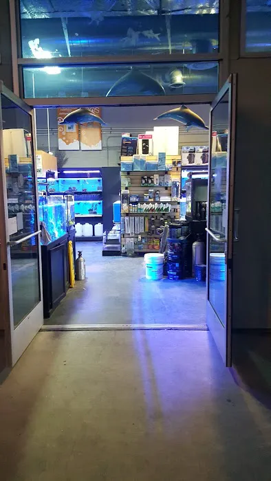 Age of Aquariums 5
