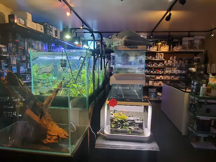 Age of Aquariums 6