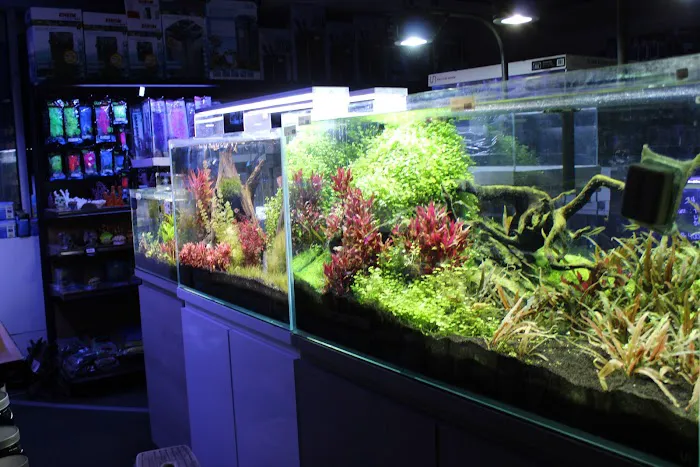 Age of Aquariums 10