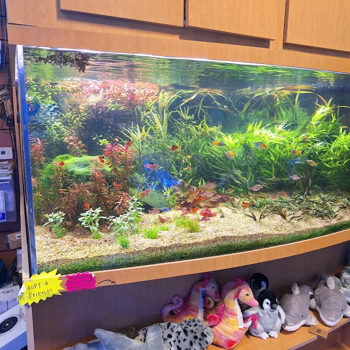 Age of Aquariums 7