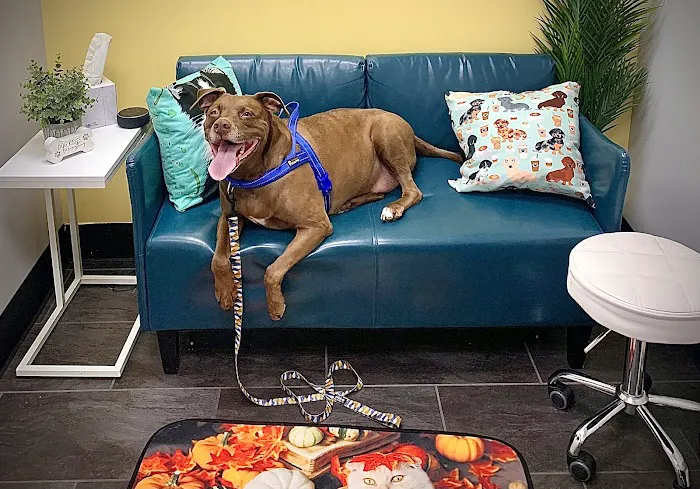 PetVet365 Pet Hospital Cincinnati/Anderson 6