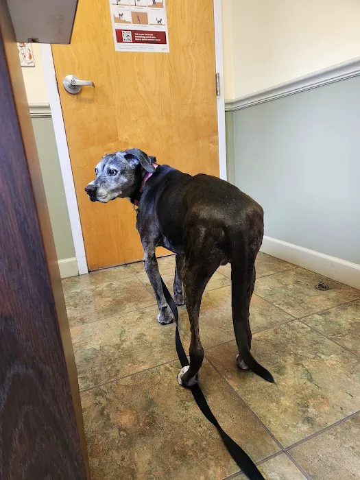 Park Plaza Animal Hospital 12