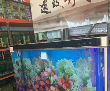 House Aquarium