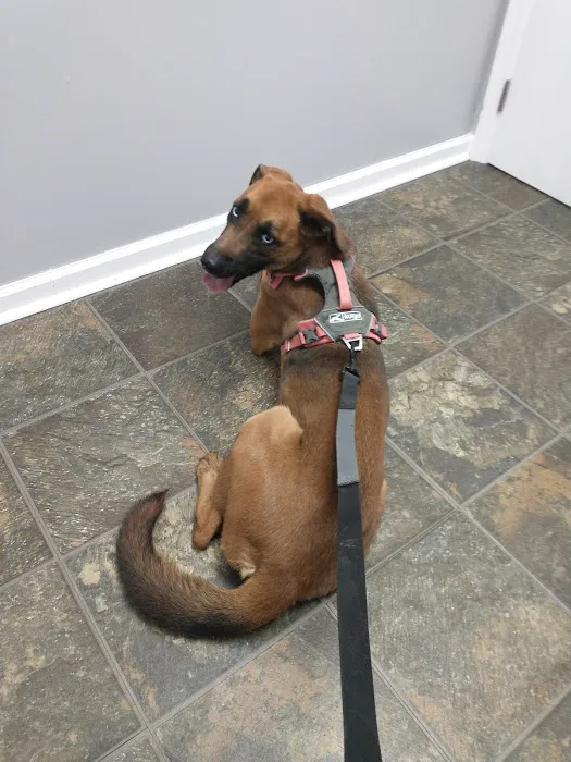 Withamsville Animal Hospital 12