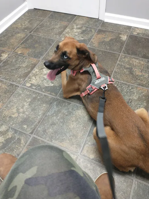 Withamsville Animal Hospital 12