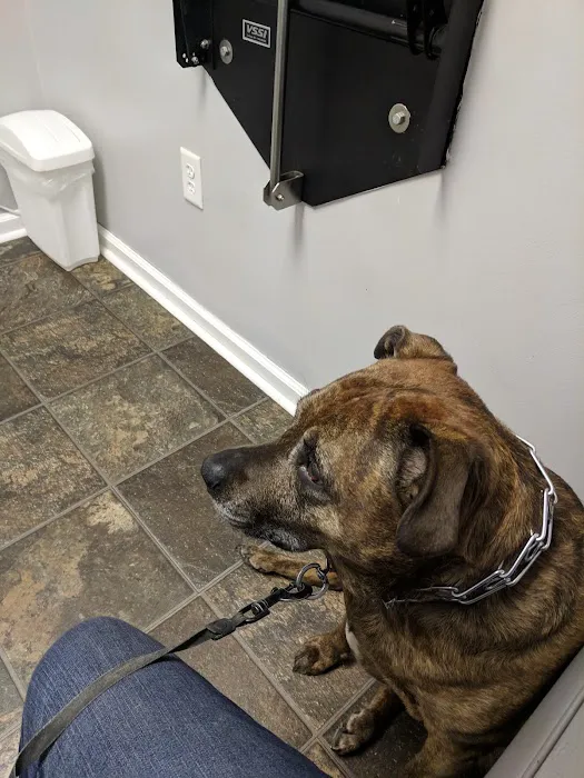 Withamsville Animal Hospital 12