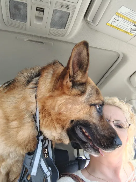 Greenwood Veterinary Clinic 12