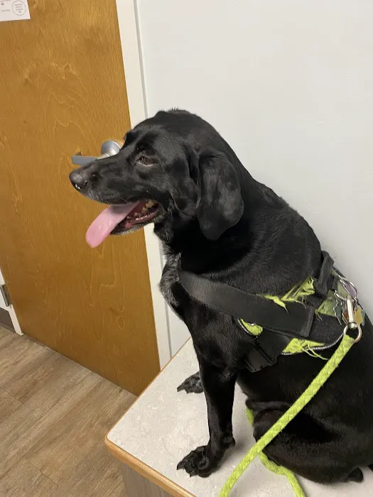 Stateline Hillcrest Animal Hospital 12