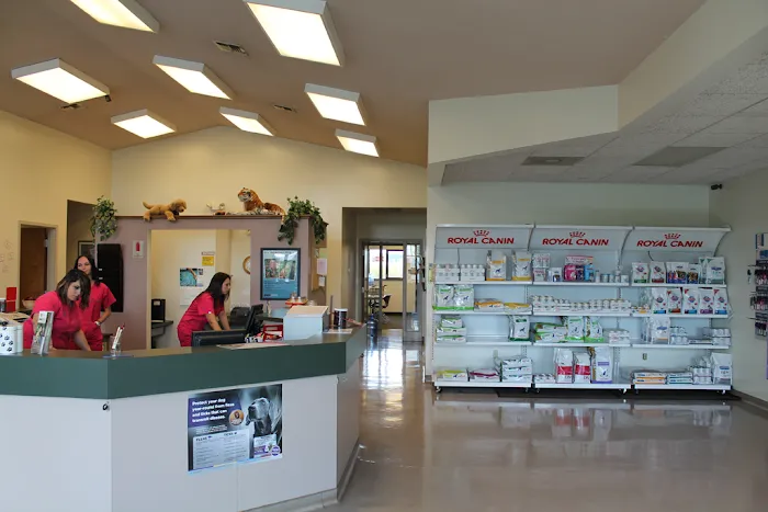 Stateline Hillcrest Animal Hospital 12