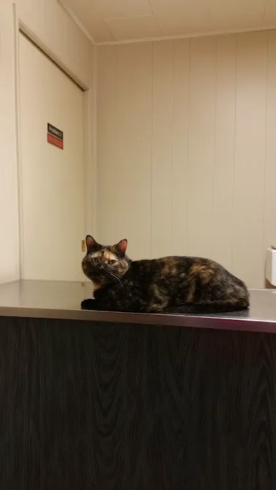 East Lake Hospital for Animals, Ltd. 12