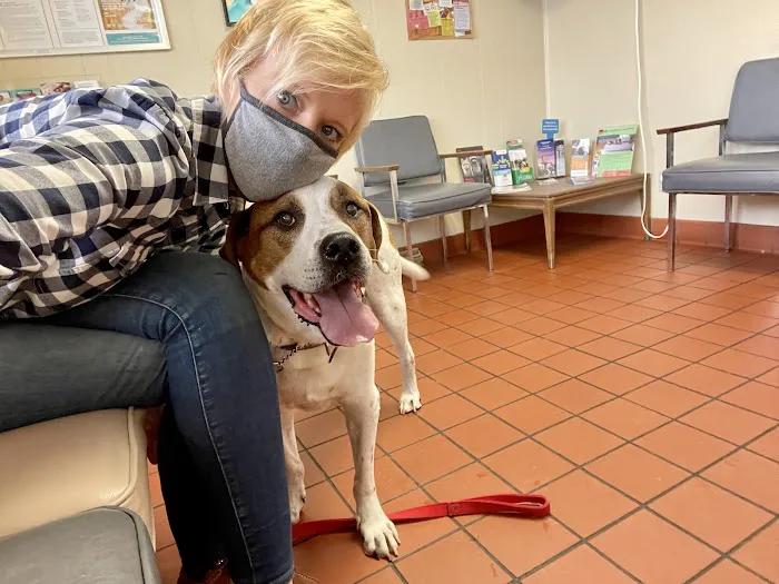 East Lake Hospital for Animals, Ltd. 12
