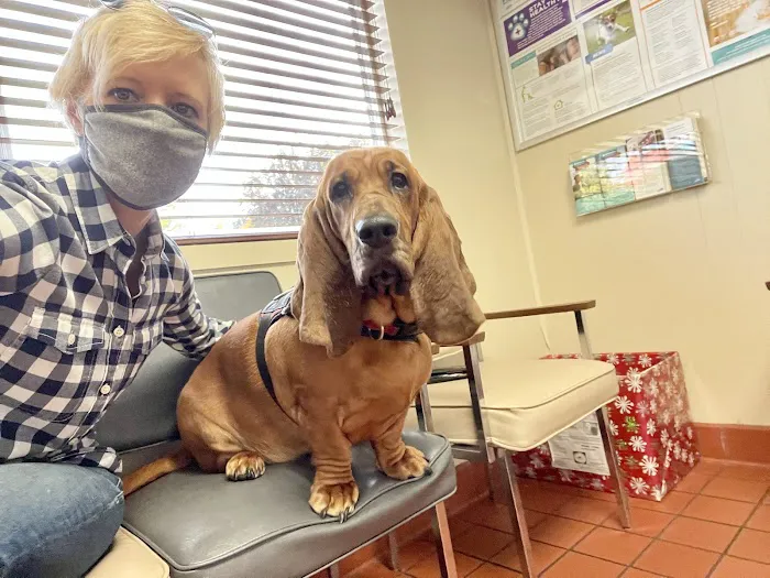 East Lake Hospital for Animals, Ltd. 12