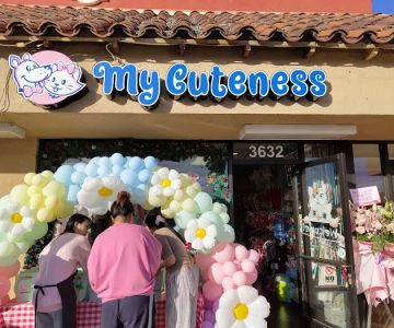 My Cuteness DIY Pet Store
