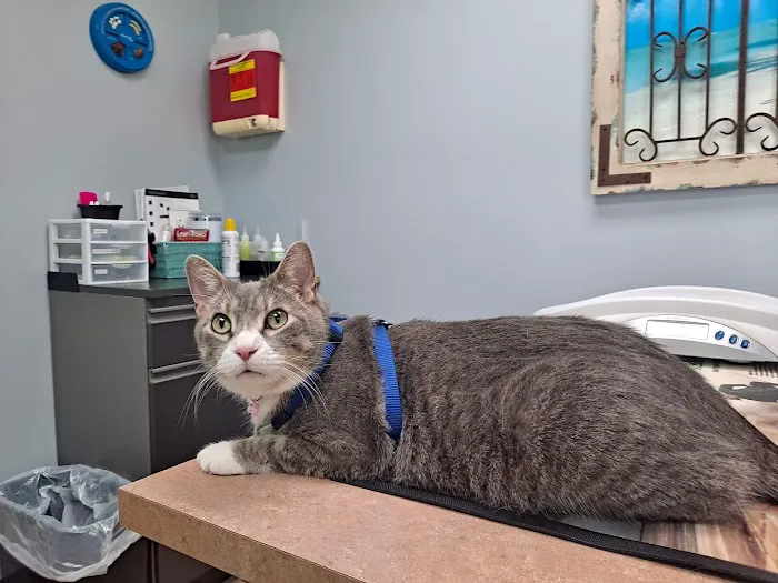 Oak Grove Veterinary Clinic 1