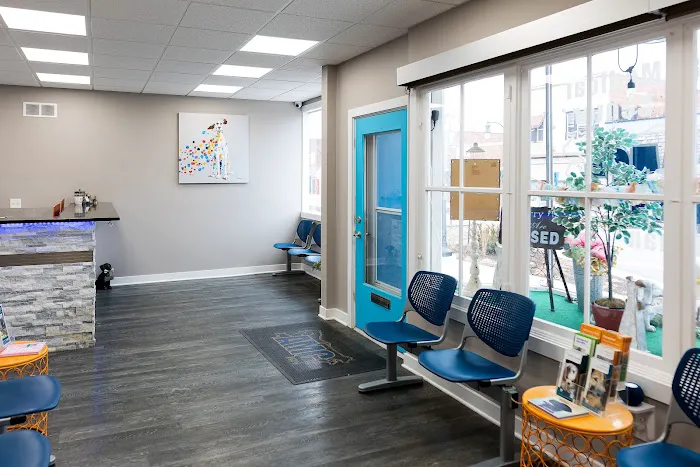 Animal Medical Center of Gilman 12