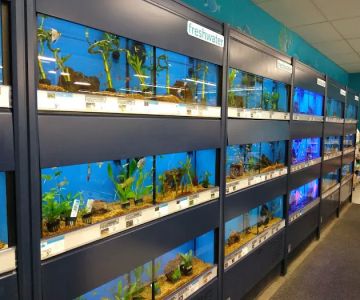 Petco