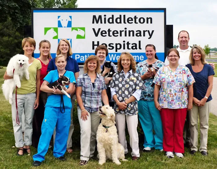 Middleton Veterinary Hospital 12