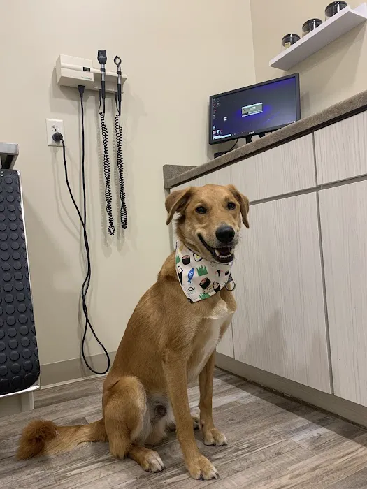 Middleton Veterinary Hospital 12