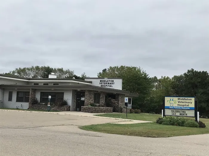 Middleton Veterinary Hospital 12