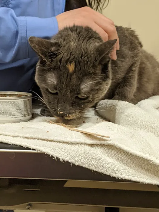 Middleton Veterinary Hospital 12