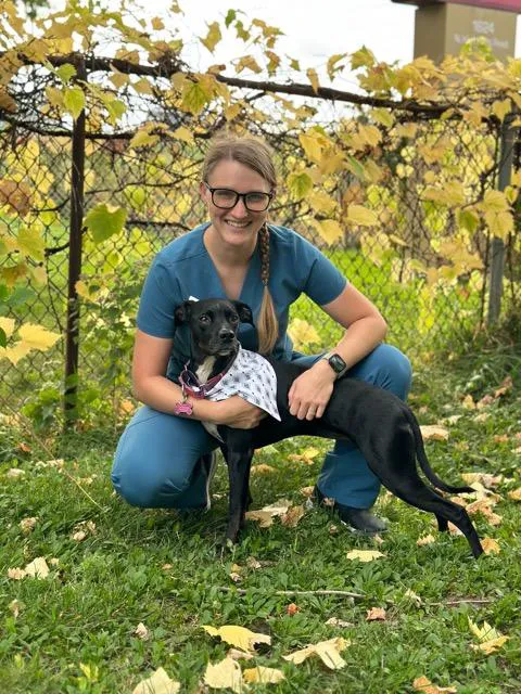 Foxridge Veterinary Care 12