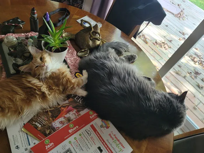Country View Veterinary Service 12