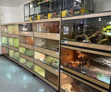 REPTILE FACTORY