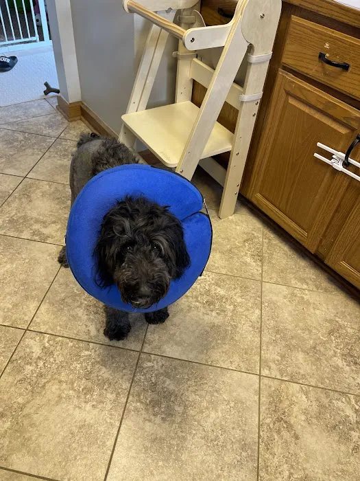 The Ohio State University Veterinary Medical Center at Dublin URGENT CARE 12