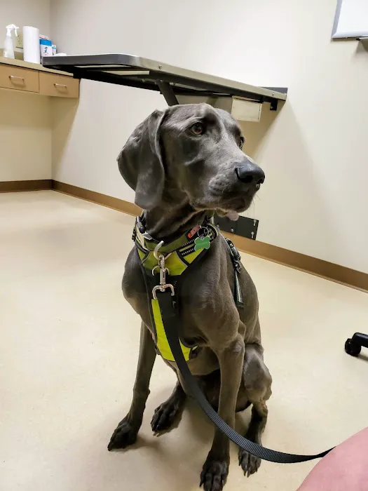 The Ohio State University Veterinary Medical Center at Dublin URGENT CARE 12
