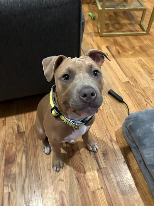 The Ohio State University Veterinary Medical Center at Dublin URGENT CARE 12