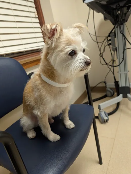 The Ohio State University Veterinary Medical Center at Dublin URGENT CARE 12