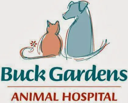 Buck Gardens Animal Hospital 6