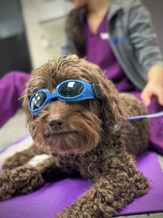 VCA Sawmill Animal Hospital 12